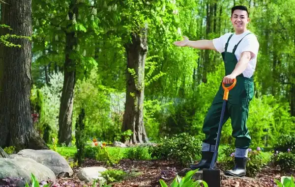 landscaping services Seligman